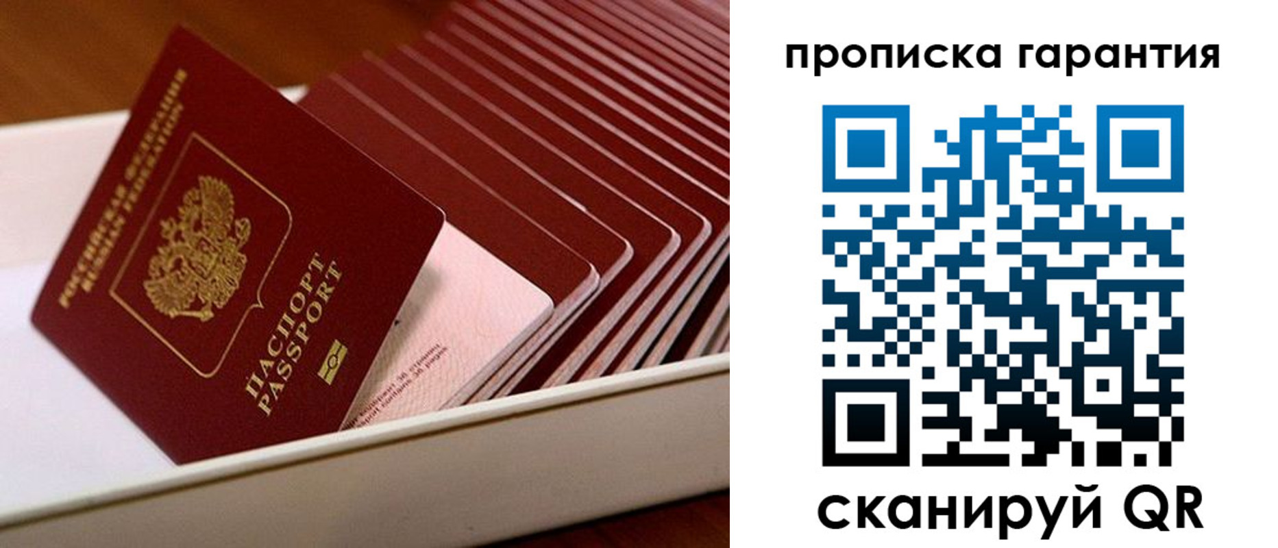 прописка поиск в Мурино